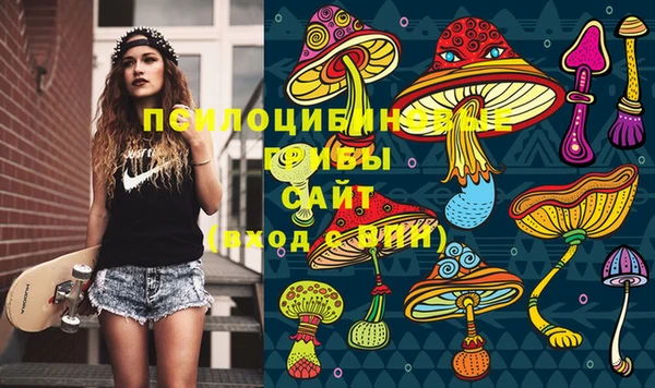 герыч Богородицк